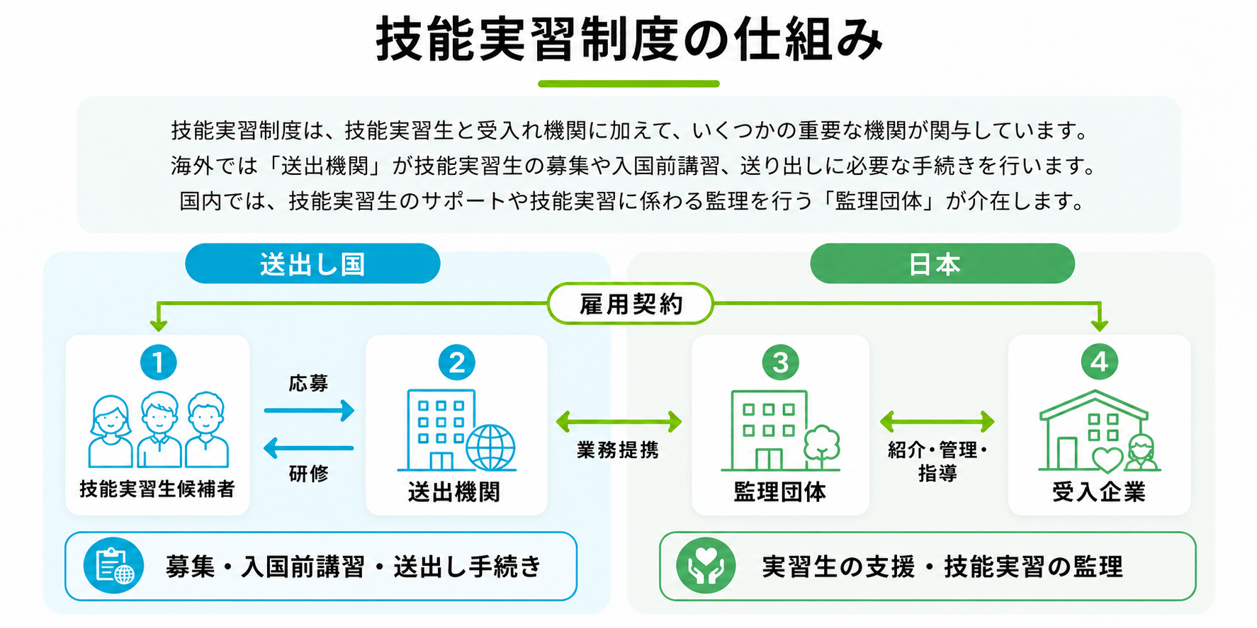 日本ケアビジネス協同組合はJITCOからの認可を受け、実習生の入国から帰国に必要な諸手続きを行います